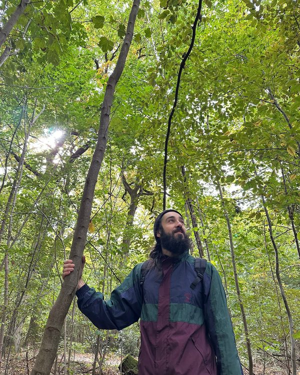 Florent Salaün, arboriste grimpeur Flows Élagage, en forêt